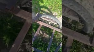 обзор на велик с коляской