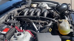 What's Under The Hood? Ford Lets Us Reveal The Engine | Plus A New Part From Ford Performance!