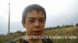 КАК ПРАВИЛЬНО ПАСТИ КОРОВ