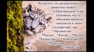 Доклад, сообщение о животном из красной книги России.