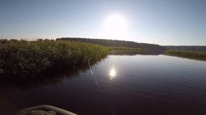 Ловим окуня на Истринском водохранилище. Отличные окуня!!!