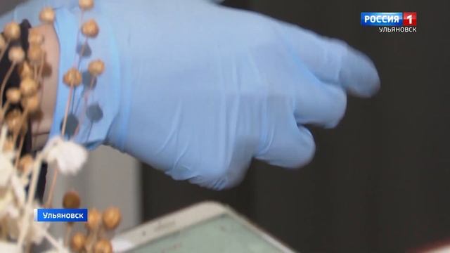 В Ульяновской области отменяются QR-коды смотреть онлайн