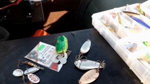 Отдых и рыбалка в Приморско-Ахтарском районе
