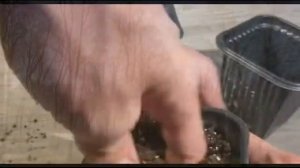 "Сказка" Пауло Коэльо