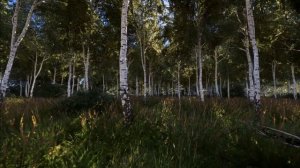 Realistic Forest! Ultra Modded Kingdom Come Deliverance | Photorealistic Apex ENB+Reshade