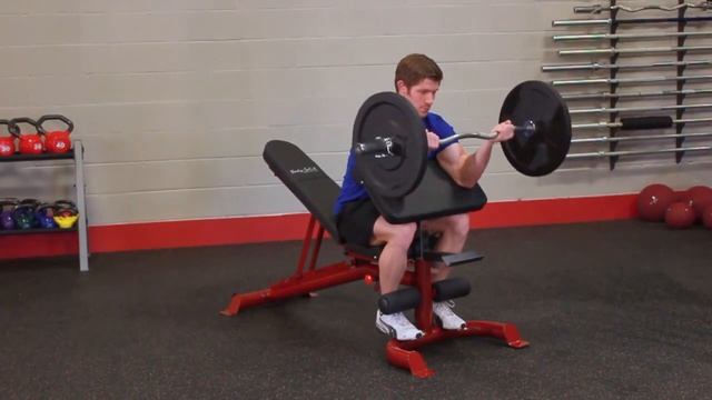 Body-Solid GFID100 Flat Incline Decline Bench (Exercises) смотреть онлайн