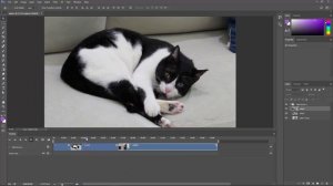 How to Edit and Cut Videos | Photoshop CC