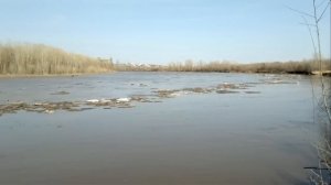 Место слияния Урала с Сакмарой