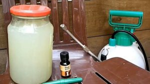 ЙОД+МОЛОКО ИЗБАВЯТ ОТ ТЛИ