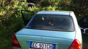 Mercedes C con steg k202 e 4 steg f8