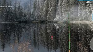 Как и где ловить#Панцирная щука#my fishing world