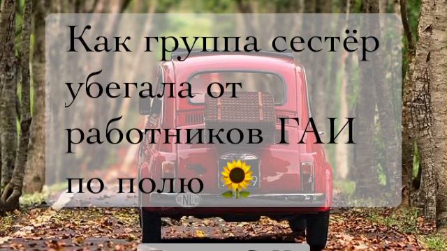 Как сёстры убегали от работников ГАИ по полю 🌻 Бачкала С. И. смотреть онлайн