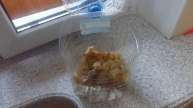№1 ? Производство удобрений в домашних условиях из пищевого кухонного мусора