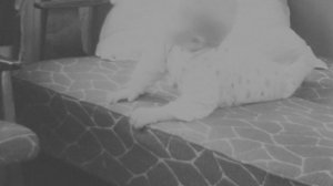 05.4 Наташа-лялька, мама.avi