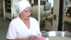 Профессия "Тестовод"