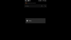 Обзор программы Zello