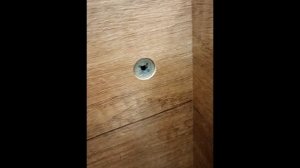 Как собрать Шкаф-витрину 450 (Гостиная Вега Скандинавия)