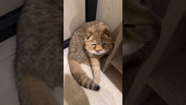 хавхвхвзвзвхвхвххввзх смотреть онлайн