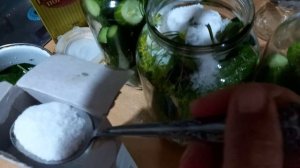 Квашеные огурцы на зиму. Самый простой рецепт.