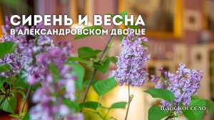 Сирень и весна в Александровском дворце