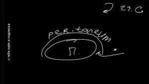 Анатомия пищевода: строение, топография, сужения. Спланхнология