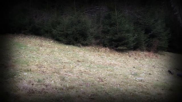 Vojna na severe смотреть онлайн