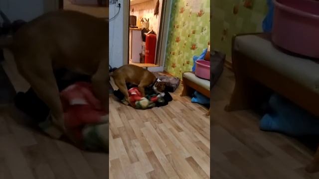 Не женская это работа МЫТЬ ПОЛЫ ??. смотреть онлайн