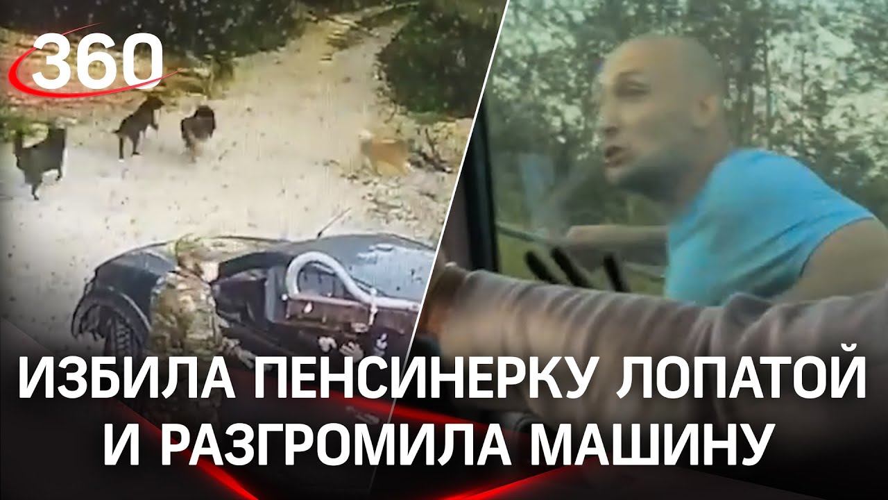 «Загрызу любого»: сотрудница питомника избила лопатой пенсионерку и напала на волонтеров