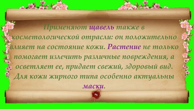 Интересные факты о щавеле смотреть онлайн