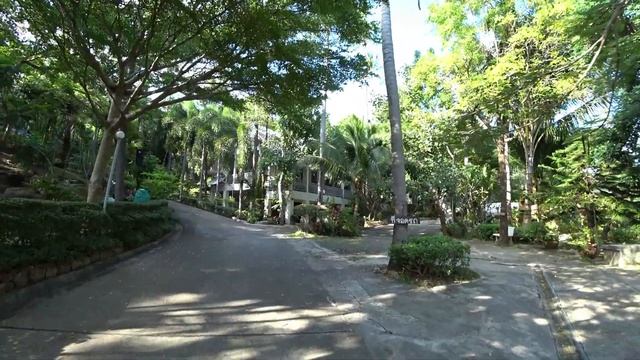 Остров Самуи - Обзор Кафе на Ламае | Отдых на Самуи | Кушаем Тортики смотреть онлайн