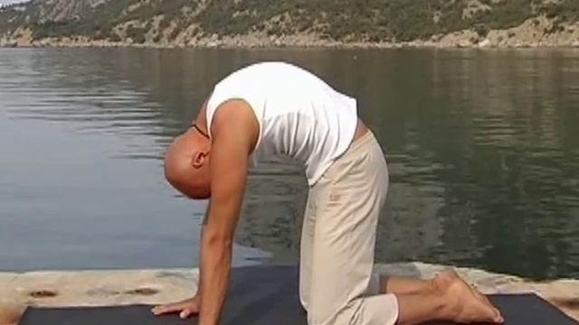 Хатха-Йога. Корректный подход к позвоночнику. Асаны