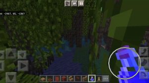 Мангровое болото Майнкрафт