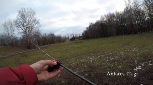 Daiwa Zillion 2021 vs Shimano Antares 19