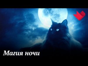 Магия ночи. Как перебороть страх перед темнотой? | Раскрывая мистические тайны