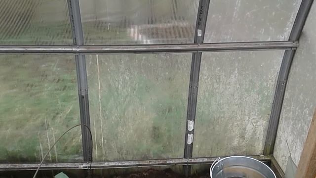 Уход за парником из поликарбоната! смотреть онлайн