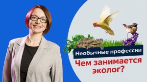 Экология из первых уст. Что на самом деле делают экологи?