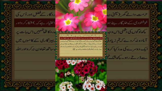 QURAN PAK URDU //TARJUMA //SURAH MAIDA // ISLAMIC // SHORT // VIDEO // YOUTUBE // STATUS / PART 230