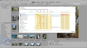 Как настроить Adobe Bridge, чтобы не загружать компьютер