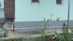 Сверну на Виноградную...