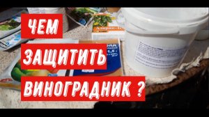 Чем защитить виноградник?