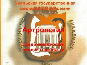 Соединения костей нижней конечности
