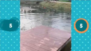 Смешные ролики Люди делают смешные вещи / Funny videos People make funny things #5 2019