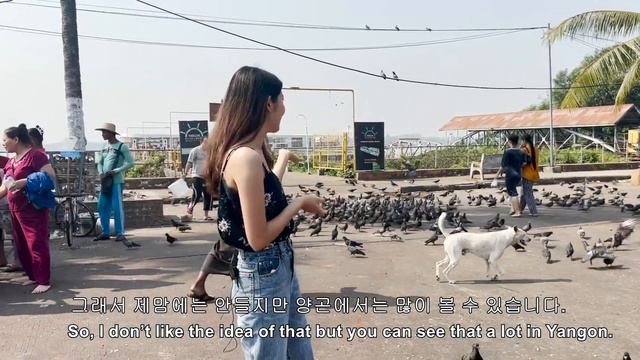 Travel to the pagoda where Buddha's relics are enshrined & shamanic temple in yangon, Myanmar. смотреть онлайн