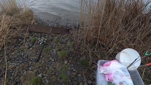 весенний карась на фидер. маныч, веселовское водохранилище 2021. рыбалка