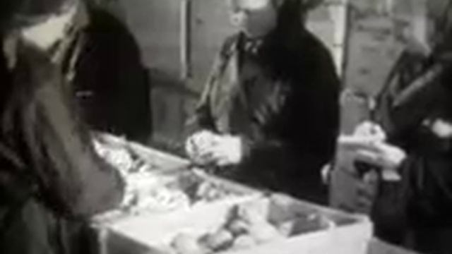 Плесневые грибы смотреть онлайн