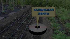 Система Капельного Полива На 60 Растений