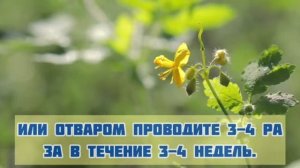 Cок Чистотела - Лучшее Народное Средство От Полипов В Носу