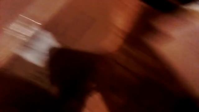 Барковские барвистые цыплята 9 суток, вес. смотреть онлайн