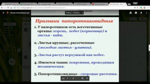 Биология 7 класс 12-13 неделя Отдел Папоротникообразные