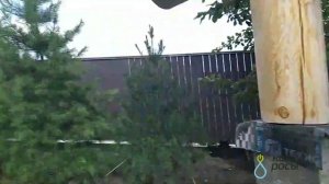 Озеленение прибрежной зоны водоема